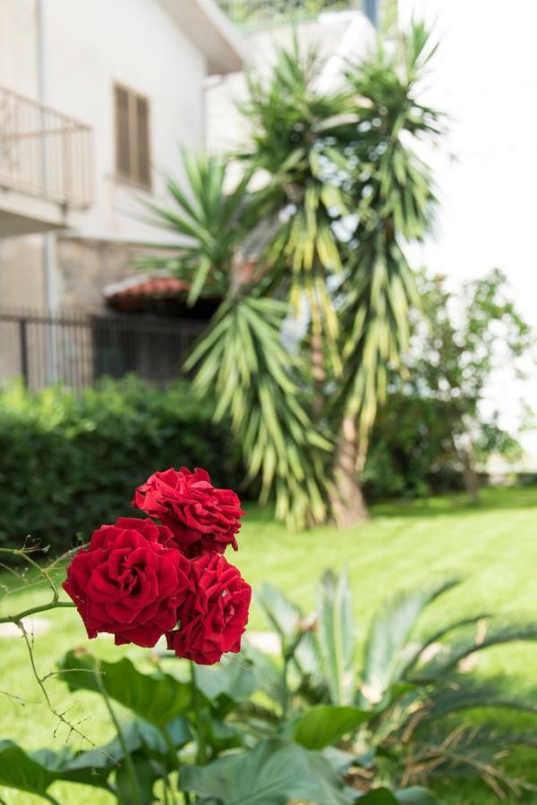 Bed and Breakfast L'Oasi Di Giorgia Cittadella del Capo Exteriér fotografie